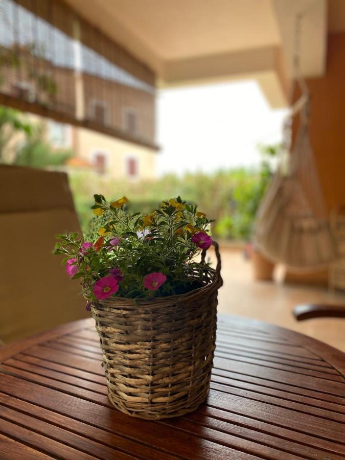 Apartman Rose-2025 Renovated Garden View Poreč Eksteriør billede