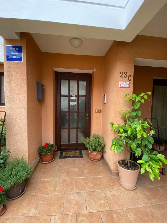 Apartman Rose-2025 Renovated Garden View Poreč Eksteriør billede